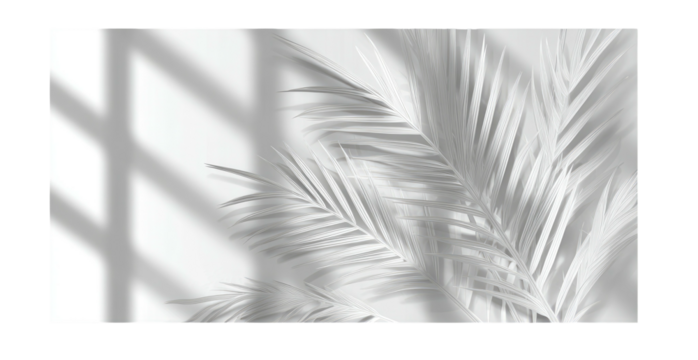 Light and Shadow Palm Leaves