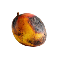Png of a closeup of a ripe mango with yellow and red skin isolated on transparent background, showing signs of decay