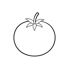 Outline drawing of tomato on transparent background