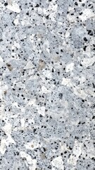 Gray speckled stone texture
