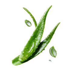 Fresh aloe vera leaves with water droplets