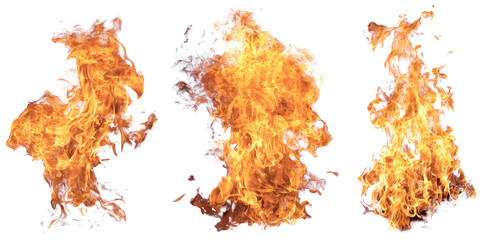 Fiery shapes of burning maps