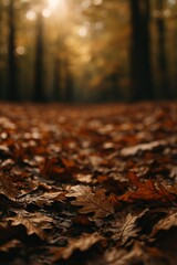 Intimate autumn woodland scene with dramatic sunbeams and rich organic textures for seasonal content.