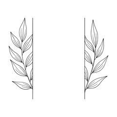 Black outline of delicate leaves on vertical stems framing empty white space black and white branches