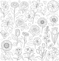 Create a kinds of deferent flower sketch vector, hand drawn flowers line art, abstract art, decorative love, fresh life nature vector art with white background.