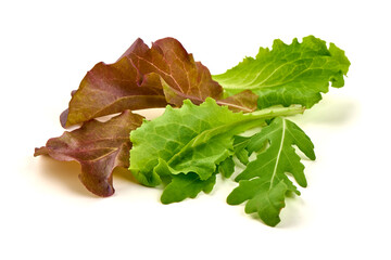 Fresh Lettuce Salad Mix, isolated on white background