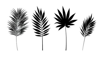 Obraz premium Abstract feather-like forms