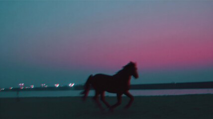 Galloping Horse on Twilight Beach, Motion Blur