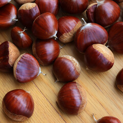 Many ripe chestnuts  on wooden background on selective focus. Castanea sativa seeds