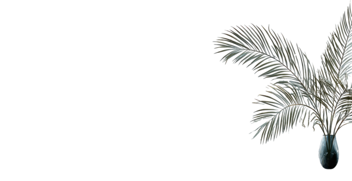 Two palm fronds against a dark background