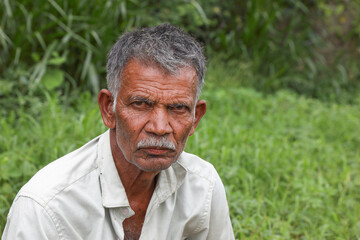 portrait of a senior man
