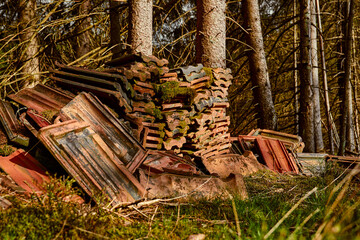Verwitterte Dachziegel im Wald