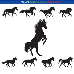 Animal Silhouette Collection – Wildlife, Pets, Birds, and Marine Creatures