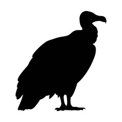 Vulture silhouette vector image of a scavenger bird with wings spread black and white art design