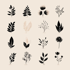 Sixteen stylized botanical illustrations in black and neutral tones on a beige background