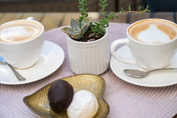 Two cappuccinos and assorted cookies sit on a cozy table with a succulent centerpiece, inviting a peaceful coffee break.
