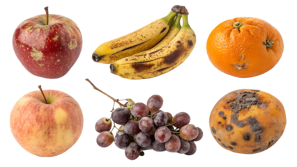 Rotten Fruits PNG Set – Isolated Decayed Apples, Bananas, Grapes, Oranges for Food Waste Awareness