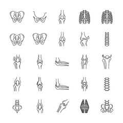 High-Quality Flat Vector: 8k Set of Human Joint & Bone Illustrations