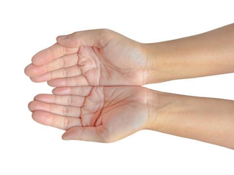 Top view woman hands holding, giving, receiving things, isolated on white background - Powered by Adobe