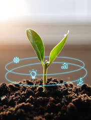Young plant with digital icons representing growth and innovation isolated on a transparent background
