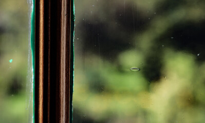 mus&eacute;e Claude Monet