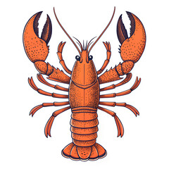 Orange lobster illustration seafood crustacean sea animal drawing marine life food design graphic art vector image