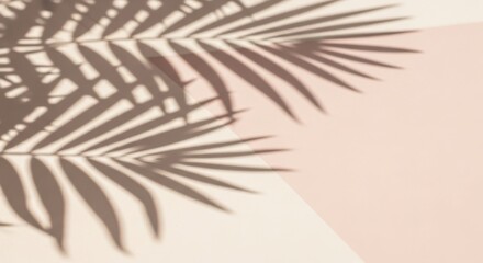 Fototapeta premium Soft tropical palm leaf shadows create a serene natural ambiance for your design projects