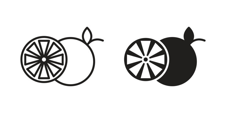 Citrus icon clipart and lineart vector symbols