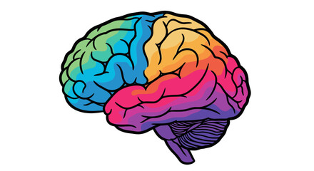 A vibrant multicolored human brain illustration showing different functional areas in a stylized artistic representation.