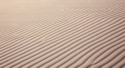 Fototapeta premium Golden desert sand dunes textured ripples under soft natural light serene landscape