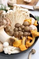 Different raw mushrooms in bowl on white table, closeup