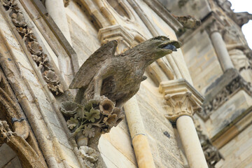 cathédrale d'Amiens