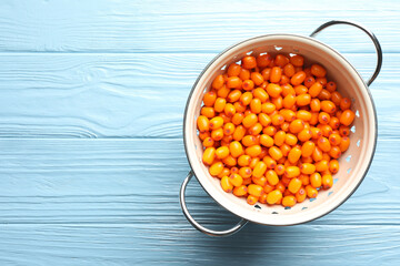 Fresh sea buckthorn berries in metal colander on light blue wooden table, top view. Space for text