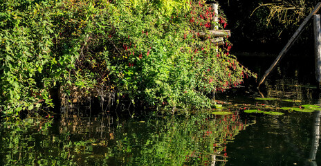 les hortillonnages d'Amiens