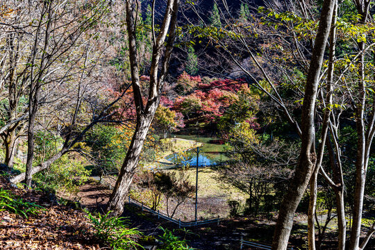 Autumn scenery of Sumata Gorge, Shizuoka Prefecture