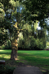 hortillonnages d'Amiens 