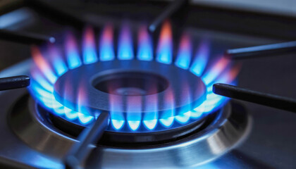 Macro shot of the grate and ring of one stove burner, clearly showing the constant, intense blue-violet heat from the natural gas flame