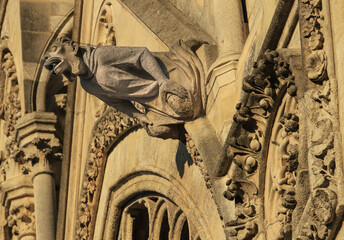 gargouilles de la cathédrale d'Amiens