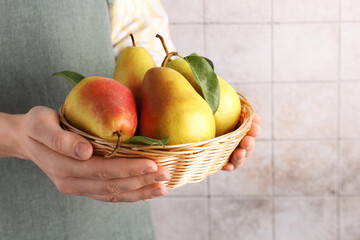 Woman holding fresh pears in wicker bowl near light tiled wall, closeup. Space for text