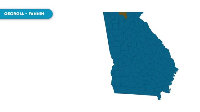 Fannin Map Video, Georgia map, Political Map of Georgia, national flag and borders, perfect for presentations, travel, education, geography, and global studies.