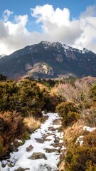 Mountain trail in winter