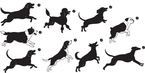 Dog silhouette poses with ball, black vector icons of pet movement, walking and running dogs, playful animal illustration for design and education