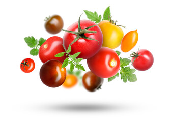 Different fresh tomatoes and green leaves falling against white background