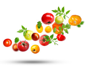 Different fresh tomatoes and green leaves falling against white background