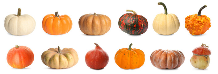 Fresh pumpkins isolated on white, set. Autumn vegetable