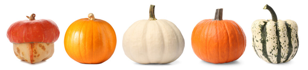 Fresh pumpkins isolated on white, set. Autumn vegetable