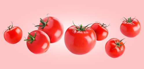 Fresh ripe tomatoes flying in air against pink background