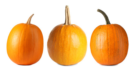 Fresh pumpkins isolated on white, set. Autumn vegetable