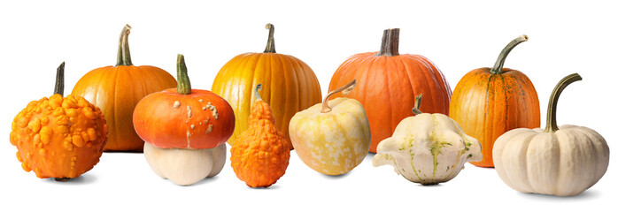Many different fresh pumpkins isolated on white