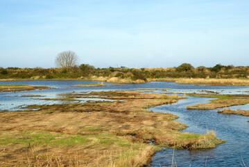 Estuaire de l'Orne, Le Gros Banc, Epace naturel protégé, 14, Calvados, France